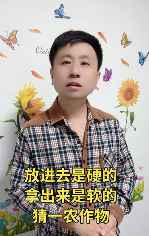 探究叔的种植技术——叔的种植、管理与利用（从种植到收成——叔的生命周期）