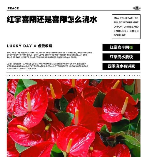 如意花是喜阴还是喜阳？（探究如意花的生长环境与养护）