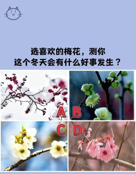 如意花是喜阴还是喜阳？（探究如意花的生长环境与养护）