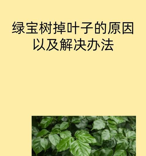 绿宝树叶尖发黄原因及解决方法（绿宝树叶尖变黄，该怎么办？）