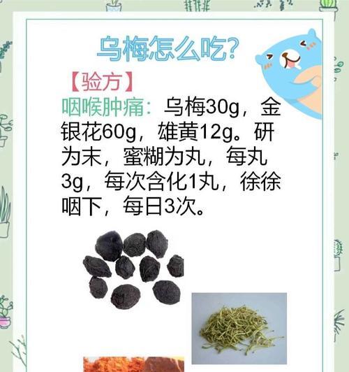 乌梅成熟期分析（乌梅成熟期、适宜采摘时间及食用方式）