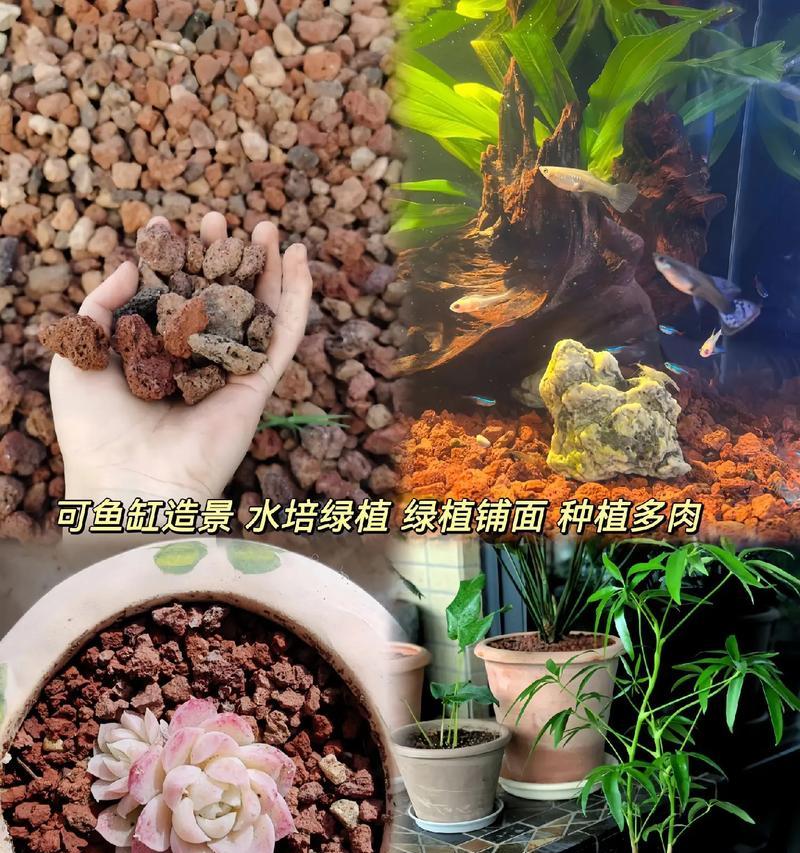 养鱼水可以浇多肉吗？为你解答！（探究养鱼水对多肉生长的影响，水质管理要点）