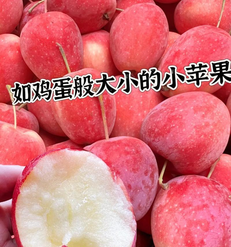 海棠果成熟的时候是什么时候？（探究海棠果的成熟期和采摘技巧）