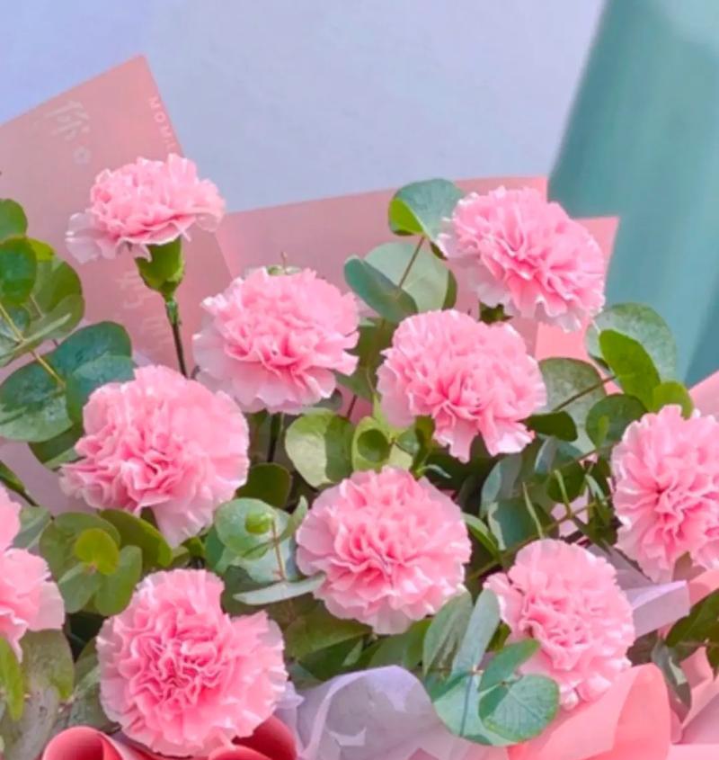 怀念过去，留下遗憾——代表遗憾的花语（从花语中体会人生的遗憾之美）