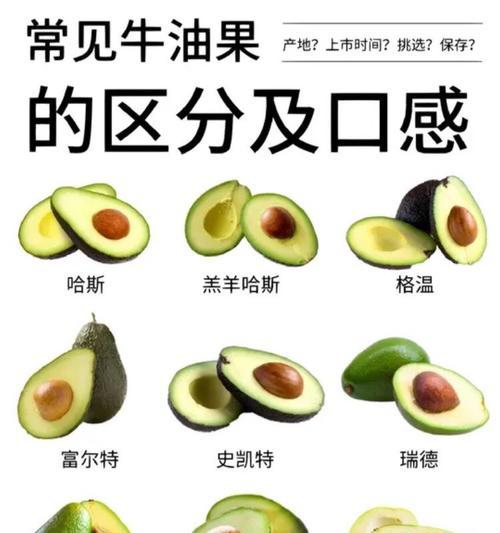 牛油果产地探究（寻找最好吃的牛油果）