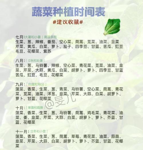 生菜种植全指南（寻找最佳生菜种植月份，让你丰收满满）