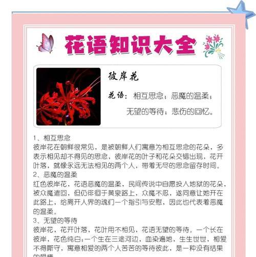 探析彼岸花的象征意义及寓意（揭秘彼岸花背后深刻的文化内涵）