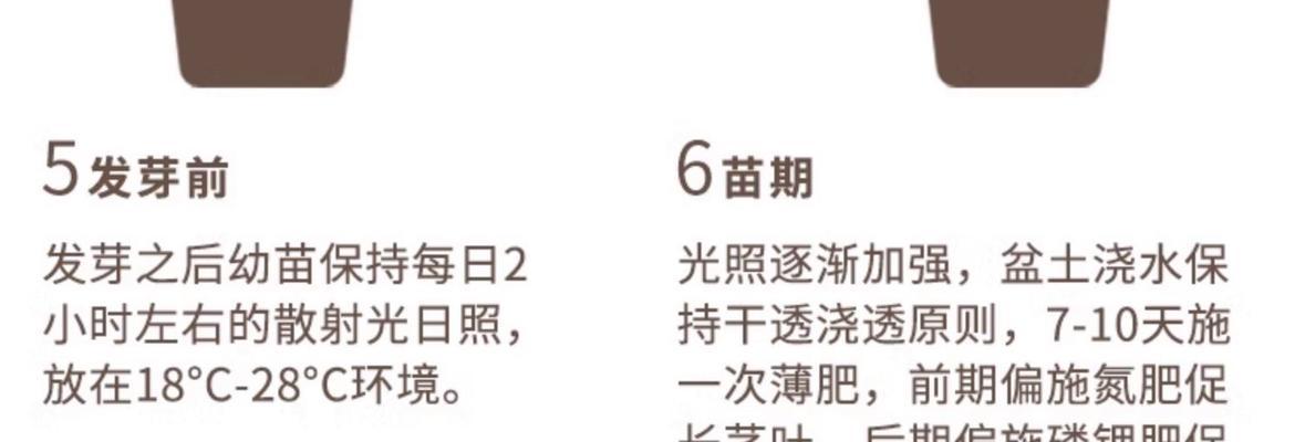 探究亚麻籽的生长周期（从种植到收获，了解亚麻籽的成长历程）