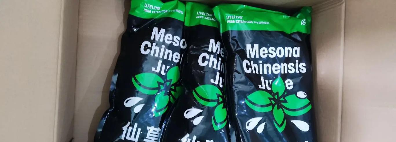 探秘神秘仙人草（探秘神秘仙人草）