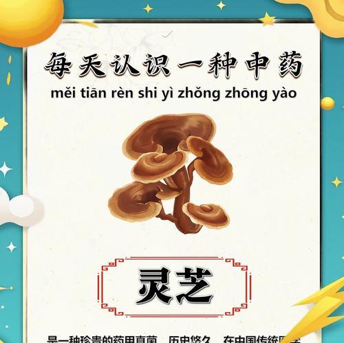 灵芝草的功效与作用（探究灵芝草的食用方法和营养成分）