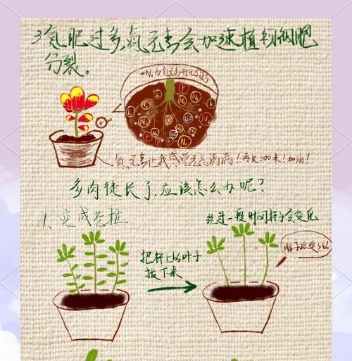 幼苗如何避免徒长？（掌握正确的种植方法，让幼苗茁壮成长）