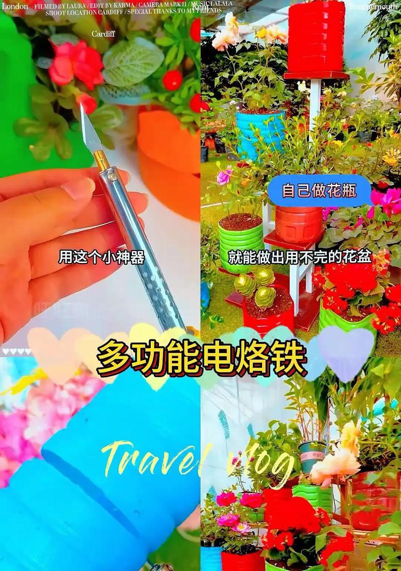 废油可用于浇灌这些花（用废油浇花，不但环保还能省钱）