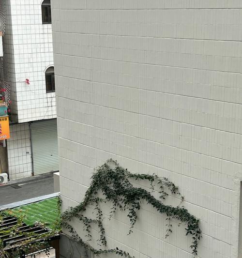 爬山虎修剪方法（打造美丽的绿色空间）