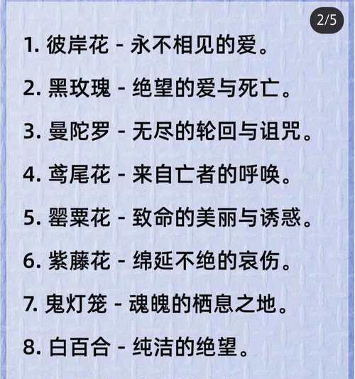安全之花（探寻花语中的安全）