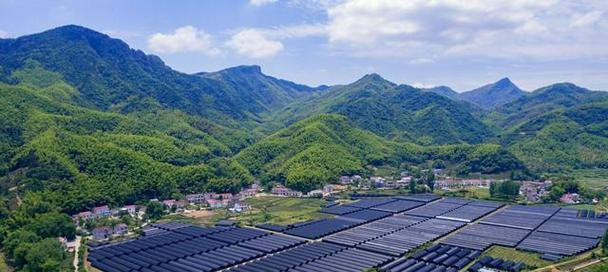 石斛原产地——追溯养生圣品的故乡（探访石斛的发源地和分布区域）