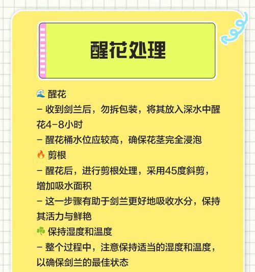 剑兰花的开花期是多久时间？