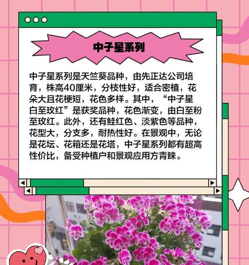 天竺葵的喜肥及施肥技巧（了解天竺葵的营养需求，用正确的肥料来满足它们）