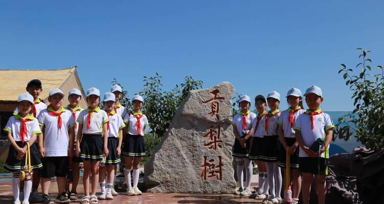 梨的生长习性及适宜环境条件（探寻梨树的生长规律，打造适宜生长环境）