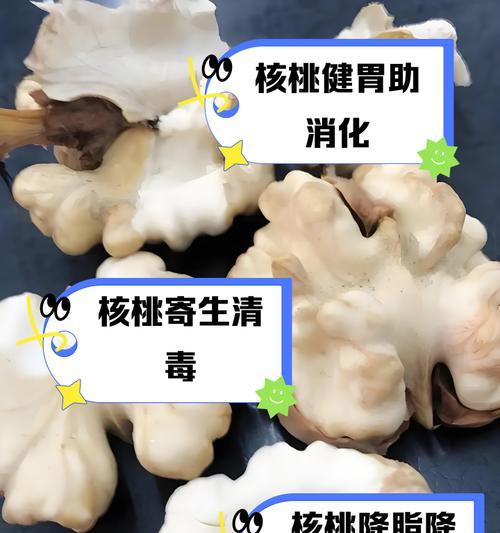 核桃枝的功效与作用（了解核桃枝的神奇功效，掌握食用方法）