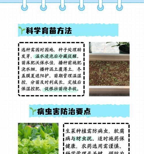 生菜病虫害防治技术（掌握生菜病虫害防治方法，提高生产效益）