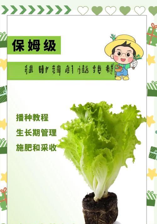 生菜病虫害防治技术（掌握生菜病虫害防治方法，提高生产效益）