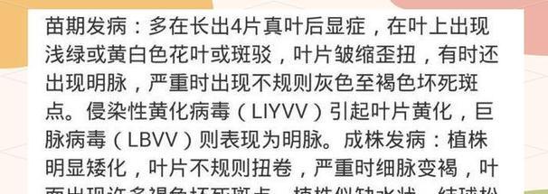 生菜病虫害防治技术（掌握生菜病虫害防治方法，提高生产效益）