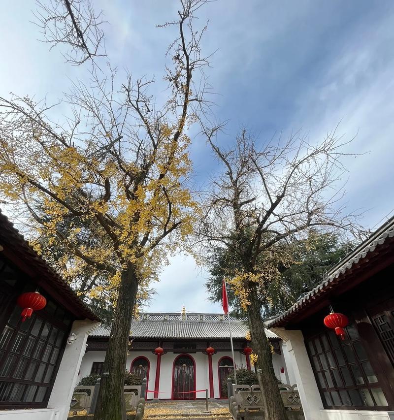 寺院中种什么树最合适？（探究寺院种植树木的意义及方法）