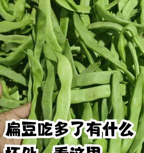 扁豆种植时间的选择与技巧（优质扁豆从种子到收获的完美策略）