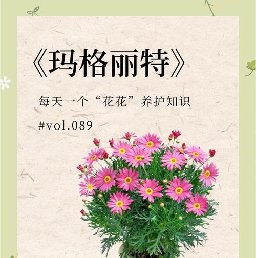 如何预防和治疗玛格丽特叶子干枯问题（探索玛格丽特叶子干枯的原因和有效的解决方案）