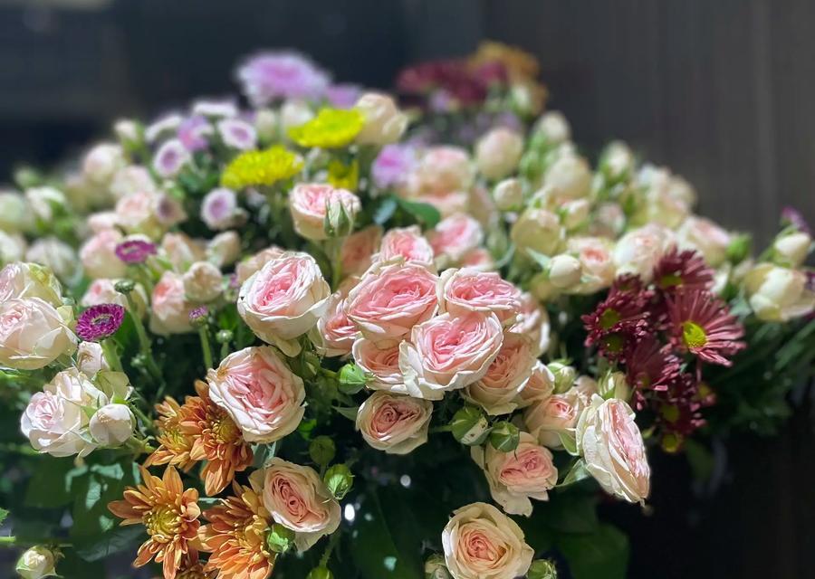 小雏菊的剪枝时间及技巧（掌握正确的剪枝时间，让小雏菊更茂盛）