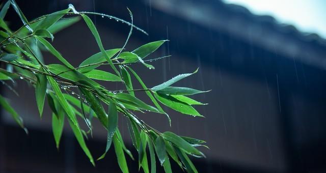 湖北！新一轮大雨暴雨已来到，具体分布如下！21号～23号天气预报