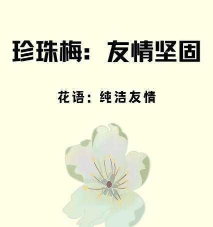 珍珠梅的花语和寓意（解读珍珠梅的花语）