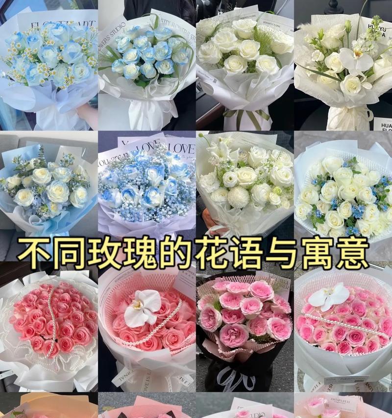 玫瑰花的数量与寓意（玫瑰花的含义及象征力量）