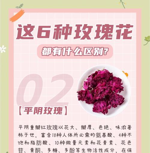 玫瑰花的数量与寓意（玫瑰花的含义及象征力量）