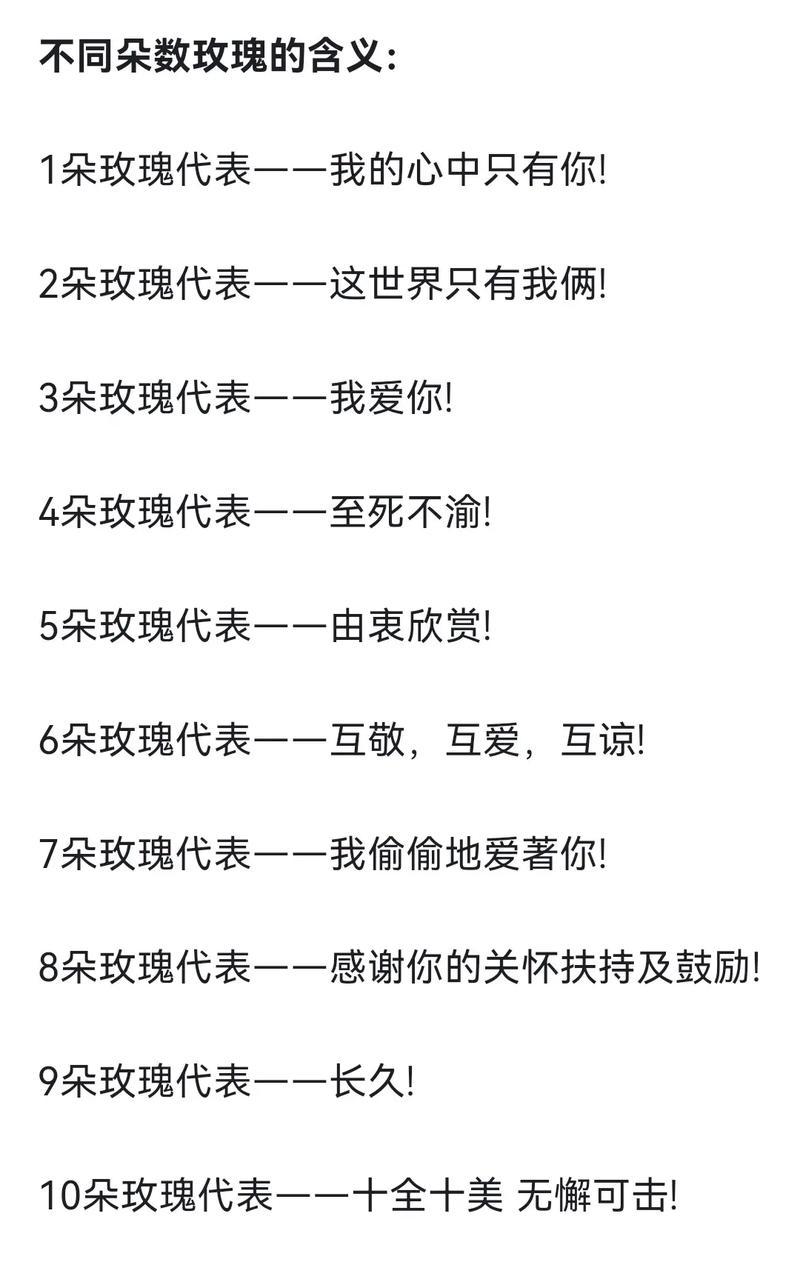 玫瑰花的数量与寓意（玫瑰花的含义及象征力量）