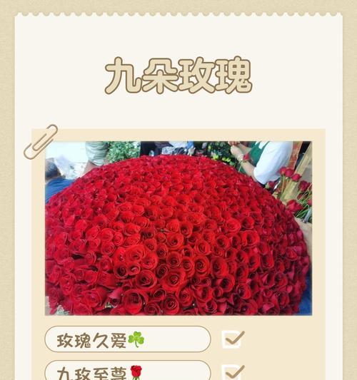 九朵粉玫瑰的象征意义（解析九朵粉玫瑰所代表的情感和寓意）