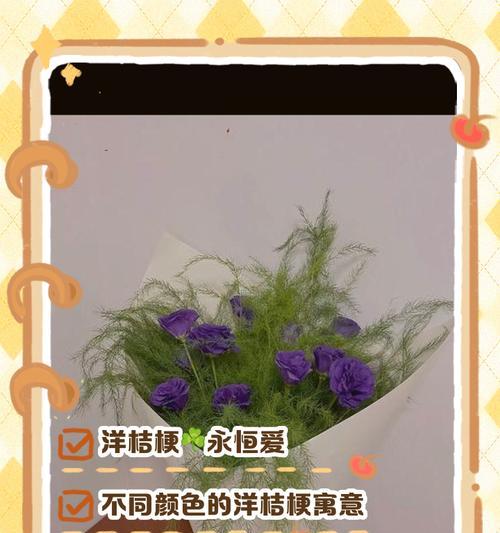 桔梗风水的寓意与作用（探索桔梗在风水中的神奇力量）