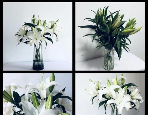 白百合花语（揭示白百合花语的深刻内涵和生命之美）