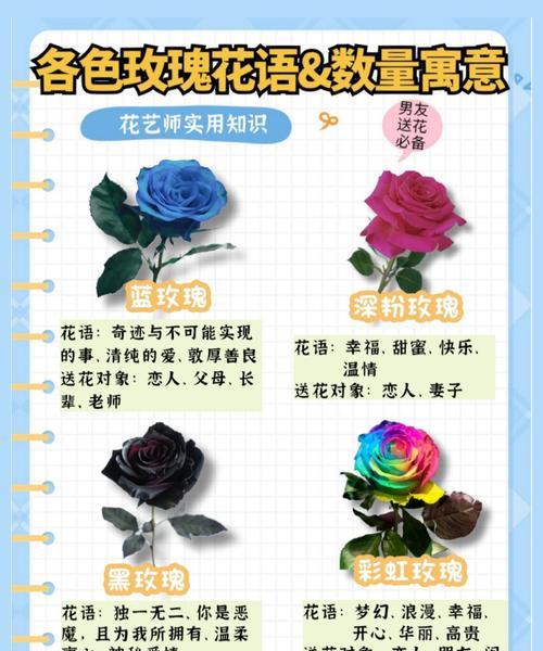 19朵玫瑰的神秘意义（解读19朵玫瑰的象征与寓意）