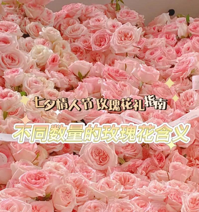 玫瑰花的花语之谜（解读90朵玫瑰花的意义）
