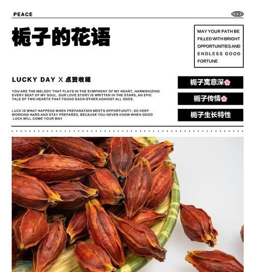栀子花语（以栀子花为媒介的情感表达艺术）