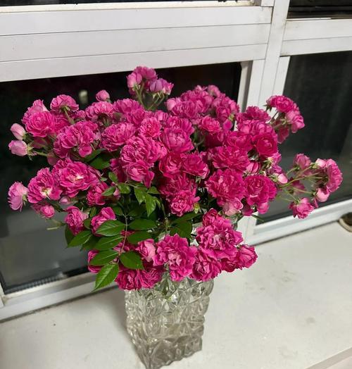 花开原谅，映照心灵的光芒（以花为媒）