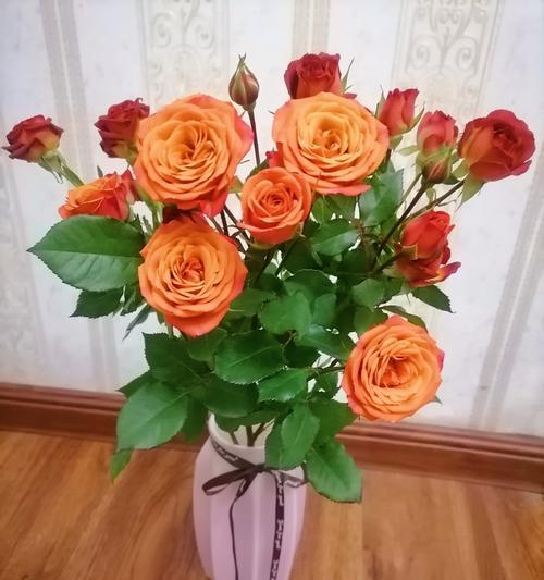 花开原谅，映照心灵的光芒（以花为媒）