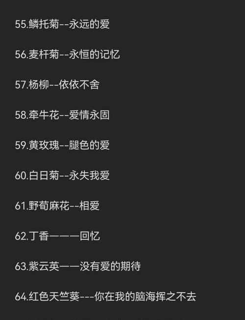 19朵花的花语——传递花语之美（以花语传递爱与祝福）