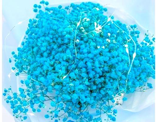 满天星的象征意义与美丽故事（以满天星为主题的花卉盛宴）