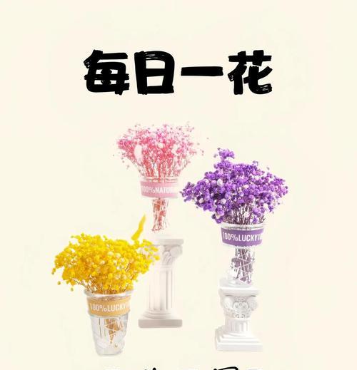 满天星的象征意义与美丽故事（以满天星为主题的花卉盛宴）