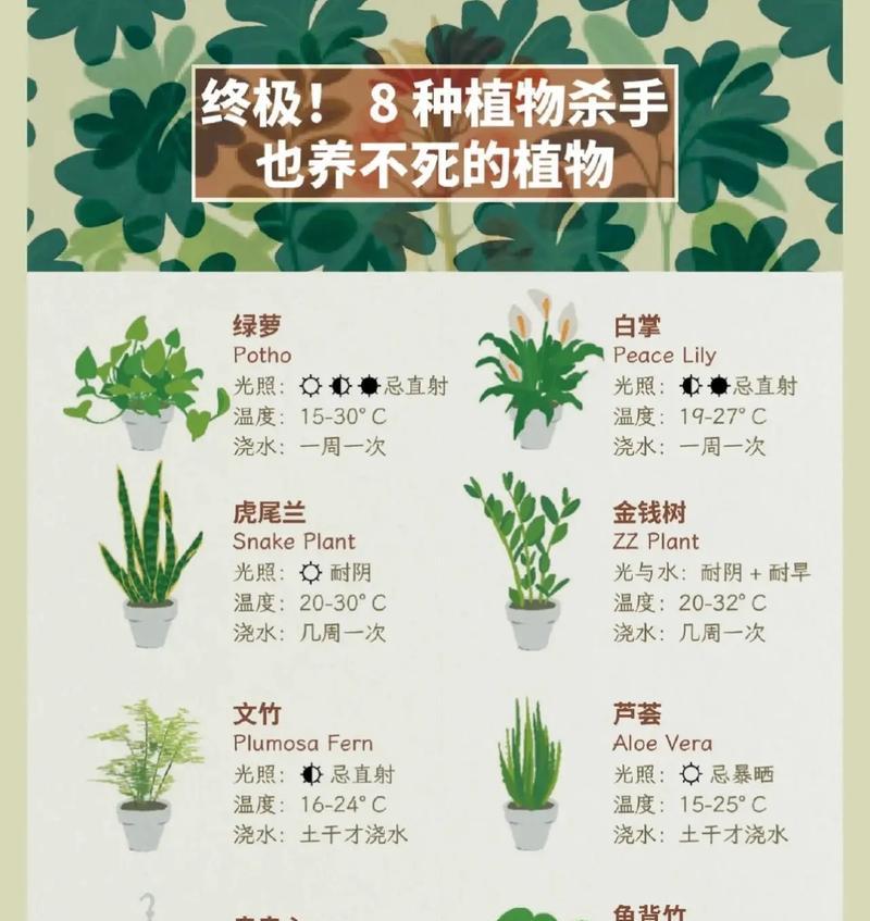 绿萝花语与喻意的由来（探究绿萝之花语以及喻意的起源和象征）