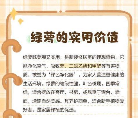 绿萝花语与喻意的由来（探究绿萝之花语以及喻意的起源和象征）