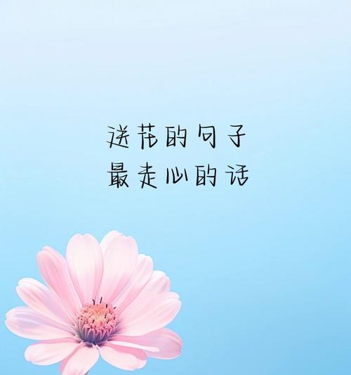 友情之花（探寻友情之花的花语和象征意义）