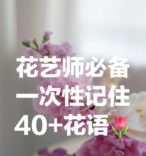 玫瑰花的花语与意义（用玫瑰传递爱与情感）